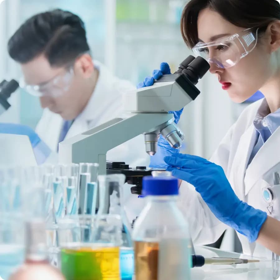Evive 品牌官网建设